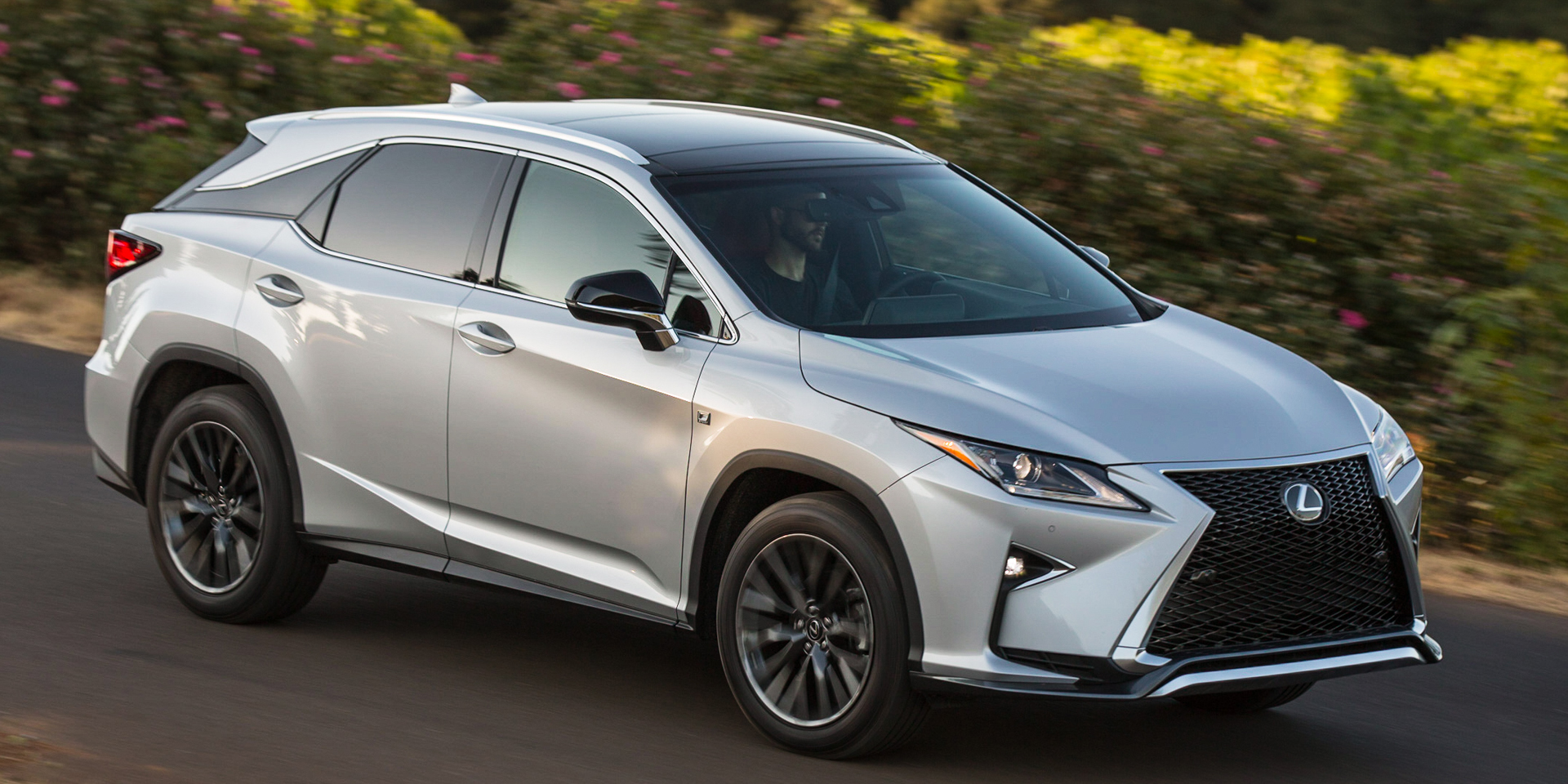 2016 Lexus RX 350 2016 Lexus RX 350