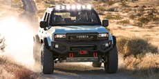 Toyota Land Cruiser ROX