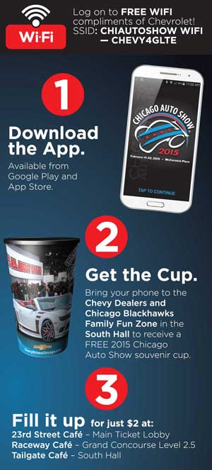 2015-Commemorative-Cup-300