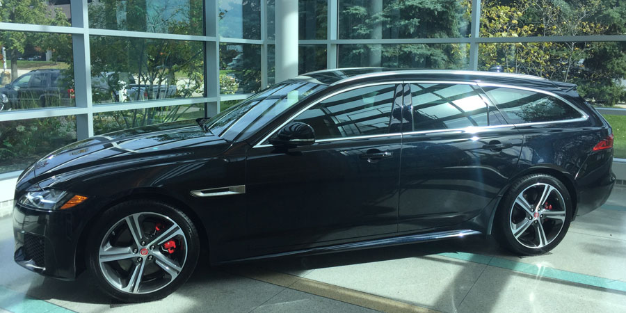 IMG_8187-(002)-Jaguar