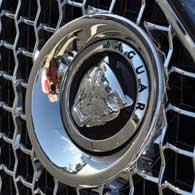Jaguar Badge